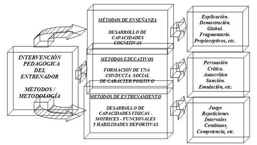 Intervención Pedagógica del Entrenador