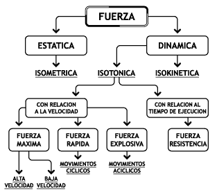 Clasificación de la Fuerza