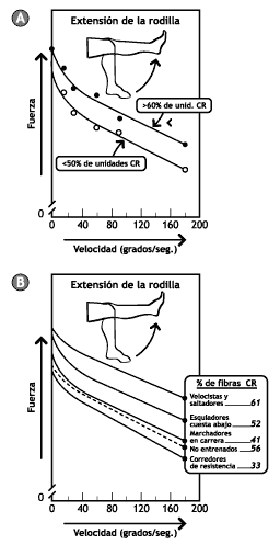 Curva de Fuerza Velocidad