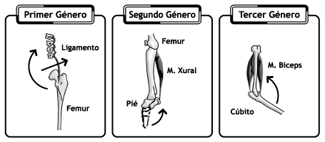 Palancas de primer, segundo y tercer genero