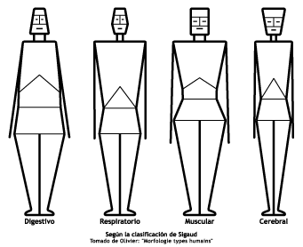 Gráficos del los biotipos según Sigaud