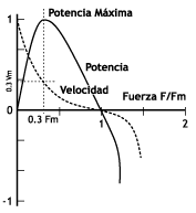 Fuerza Potencia y Fuerza Velocidad