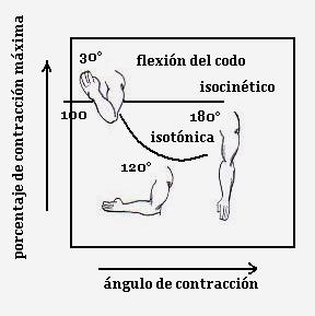 Entrenamiento Isocinético de la Fuerza