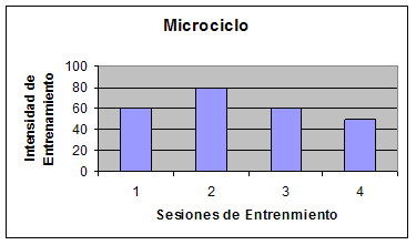 Microciclo: Periodización del Entrenamiento