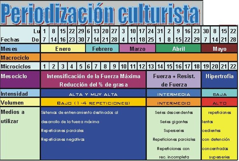 Periodización Culturista