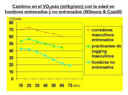 * En la siguiente diapositiva observamos que la persona que hace sistemáticamente actividad aeróbica (profesional o amateur), tiene siempre mayor capacidad que la sedentaria.