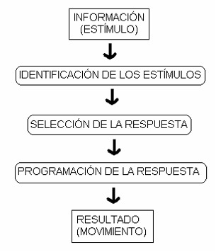 Cognición y Rendimiento Motor