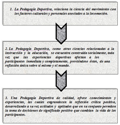 Proceso Pedagógico