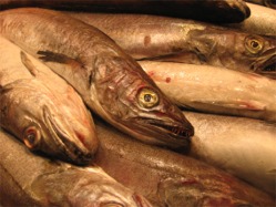 Comer pescado ayudaría a prevenir la depresión