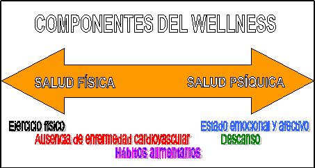 Conocimientos y habilidades del entrenador personal. Wellness, coaching y posicionamiento.