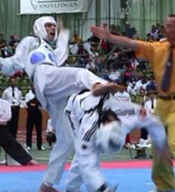 Contenidos de la preparación física para competidores de Taekwondo