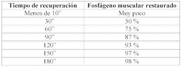 Contenidos de la preparación física para competidores de Taekwondo