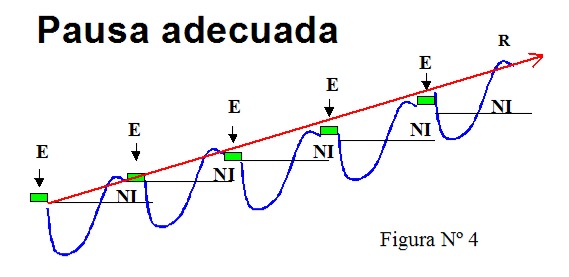 Pausa adeuada en la supercompensación de estímulos