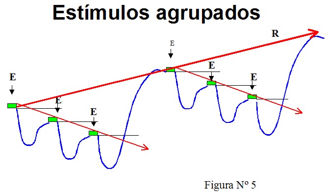 Teoría del entrenamiento: estímulos agrupados