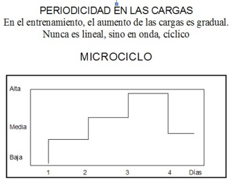 Periodicidad de las cargas de entrenamiento