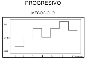 Principios del Entrenamiento: mesociclo