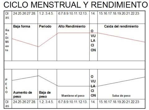 Ciclo menstrual y rendimiento