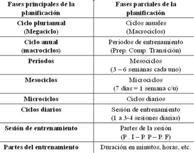 Fases del entrenamiento deportivo