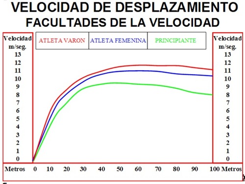 Entrenamiento y evaluación de la Velocidad