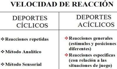 Velocidad de reacción