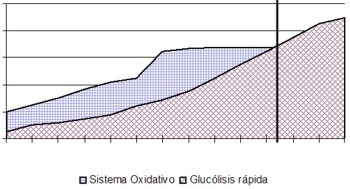 Consumo máximo de oxígeno y umbral anaeróbico