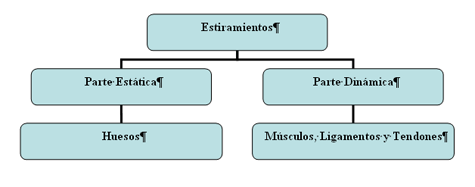 Clasificación de los estiramientos