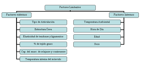 Factores que Limitan el Movimiento