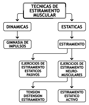 Técnicas de estiramiento muscular