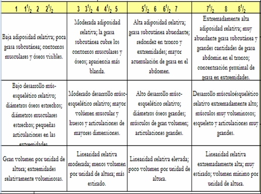 Características de Somatotipo