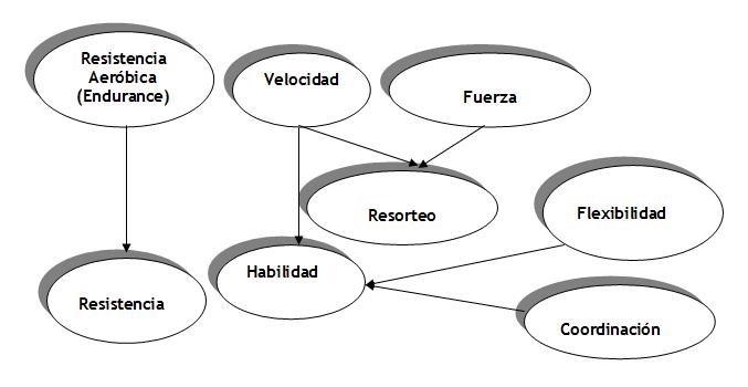 Control y Evaluación del Rendimiento físico