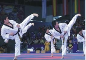 Fundamentos de la obra “Manual de enseñanza” del Taekwondo
