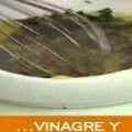 Video receta: ensalada de pasta y queso
