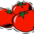 5 Recetas para realizar con tomates
