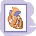 El corazón y los pulmones son 2 buenos amigos que pueden transformarse en enemigos