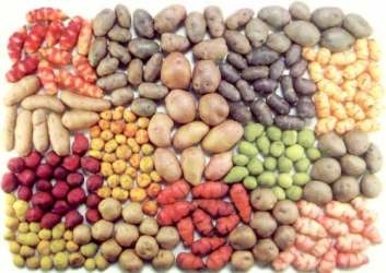 3 recetas para realizar con patatas