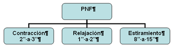 Gráfico de técnica PNF (Facilitación Neuromuscular Propioceptiva)