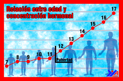 Relación entre edad y concentración hormonal