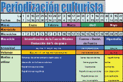 PERIODIZACIN DEL ENTRENAMIENTO DE MUSCULACIN