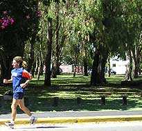 Entrada en calor