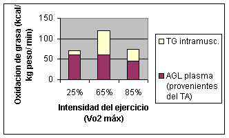 INTENSIDAD DEL EJERCICIO EN LA MODIFICACION DEL PESO 