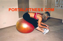 Fit Ball Training