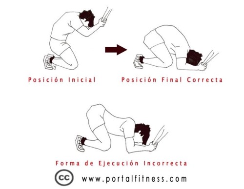 Abdominales en polea