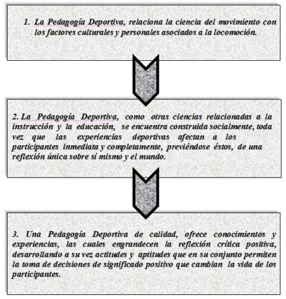 Proceso Pedagógico