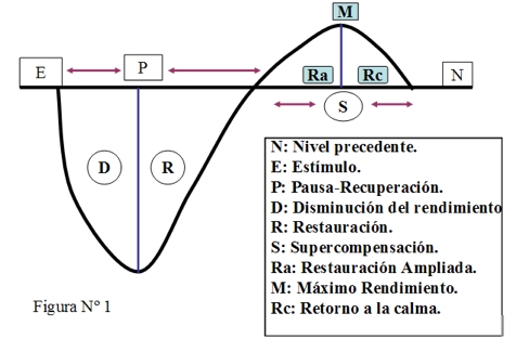 Supercompensación de estímulos