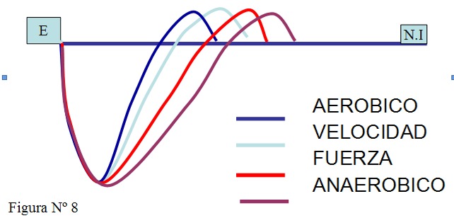 Supercompensación de estímulos de entrenamiento aeróbico, anaeróbico de fuerza y velocidad