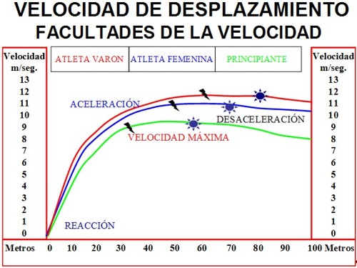 Entrenamiento y evaluación de la Velocidad