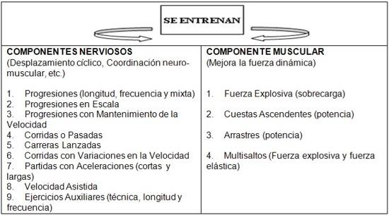 Métodos de entrenamiento