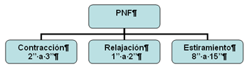 Estiramiento de Facilitación Neuromuscular Propioceptivo (PNF o FNP)